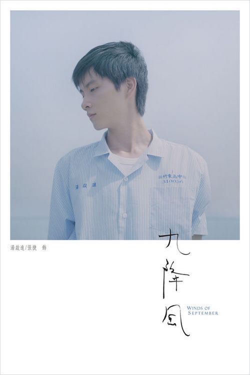 公证书怎样查询档案