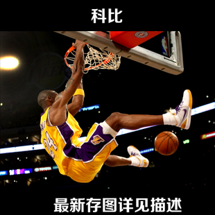高仿药师资格证
